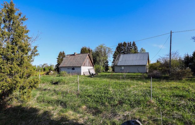 Image 6 of 24