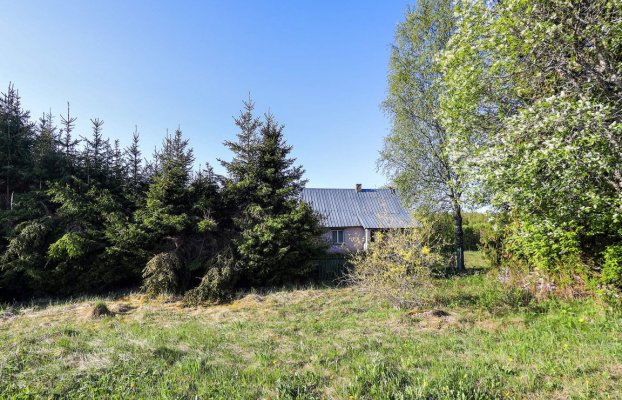 Image 22 of 24