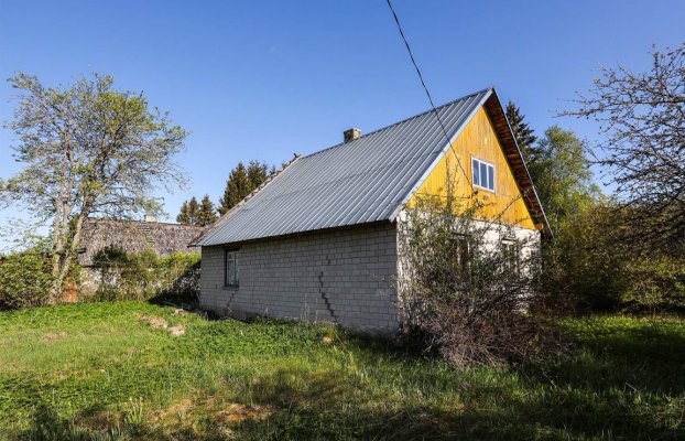 Image 12 of 24