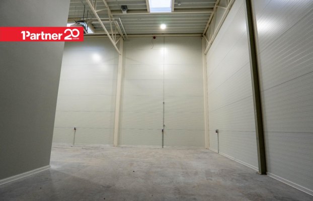 картина 17 of 25