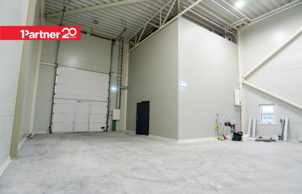 картина 19 of 25