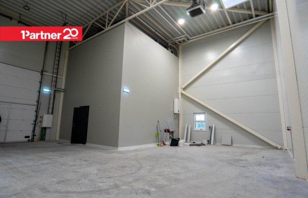 картина 22 of 25