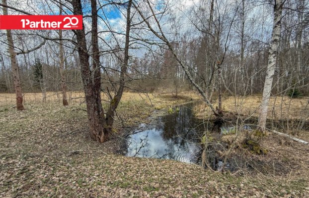 картина 15 of 17