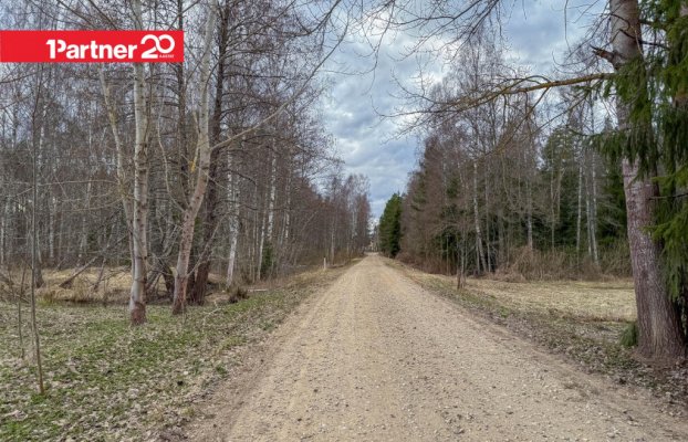 картина 14 of 17