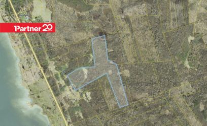 Pilte 16 ha maad Riguldi külas!