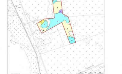 Pilte 16 ha maad Riguldi külas!