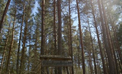 Pilte Looduskaunis kinnistu Ihasalus: mets, rahu ja mere lähedus.