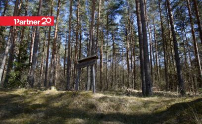 Pilte Looduskaunis kinnistu Ihasalus: mets, rahu ja mere lähedus.