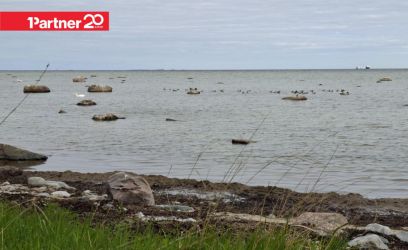 Pilte Kreiukse tee 3