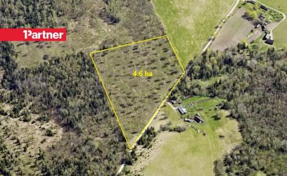 Image of 4.6 ha ligipääsuga maad Rapla linna lähedal!