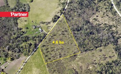Image of 4.6 ha ligipääsuga maad Rapla linna lähedal!