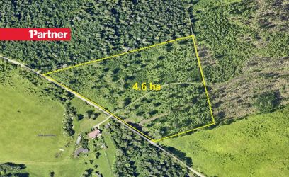 Image of 4.6 ha ligipääsuga maad Rapla linna lähedal!