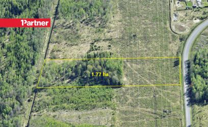 Image of Kasvava metsaga kinnistu Peipsi järve lähedal 1.7 ha!