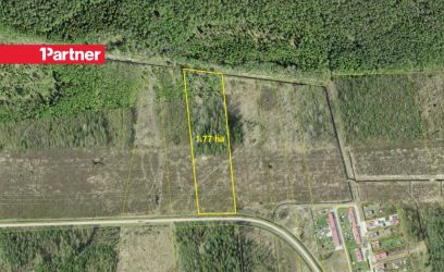 Image of Kasvava metsaga kinnistu Peipsi järve lähedal 1.7 ha!