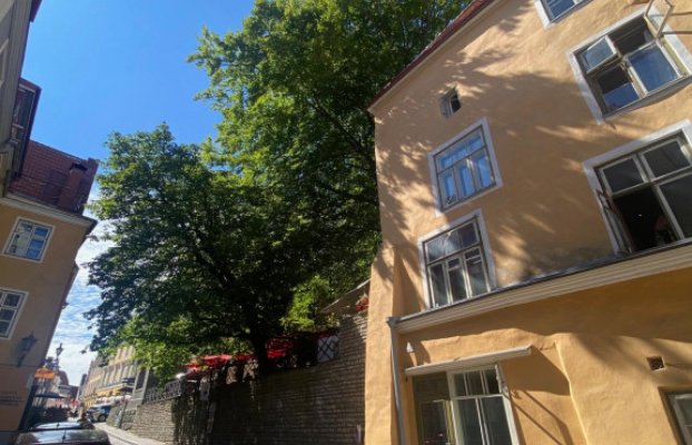 Image 4 of 12
