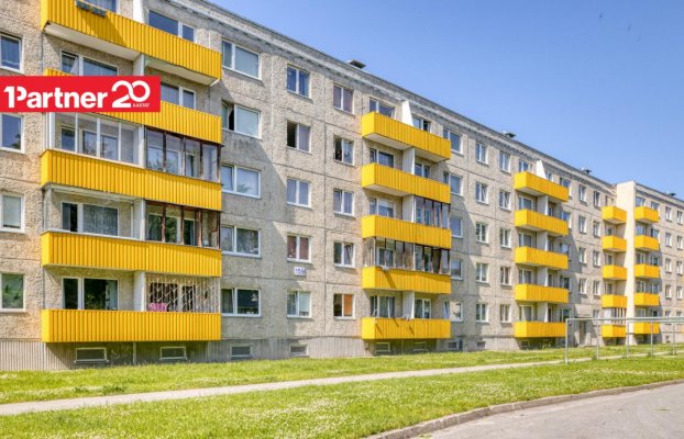 картина 24 of 26