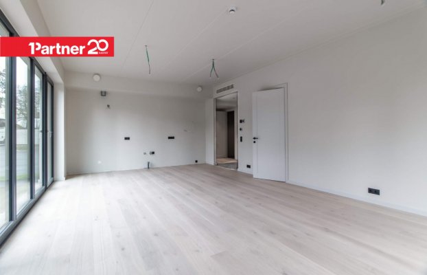 картина 18 of 31