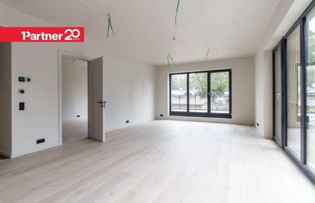 картина 6 of 31