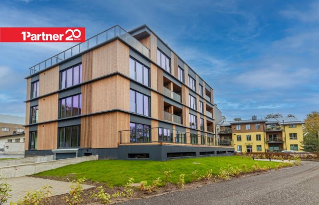 картина 1 of 31