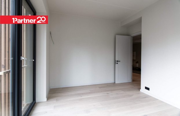 картина 14 of 31