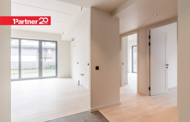 картина 7 of 31