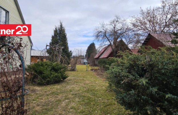 картина 39 of 55