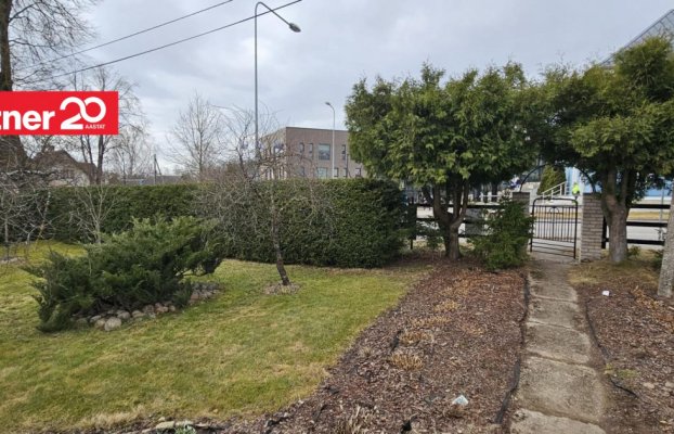 картина 40 of 55