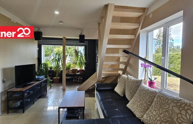 картина 5 of 55