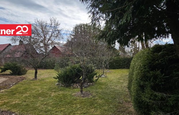 картина 45 of 55