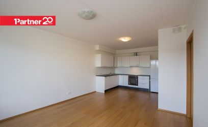 Image of Sipelga tn 2