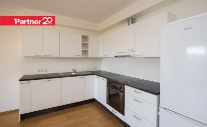 Image of Sipelga tn 2