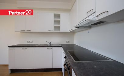 Image of Sipelga tn 2