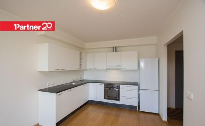 Image of Sipelga tn 2