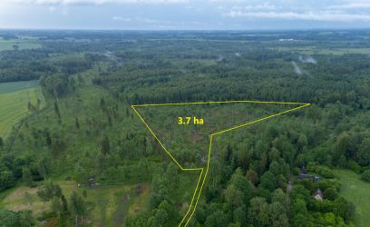 Pilte 3.7 ha maad 10 km Viljandi linnapiirist!