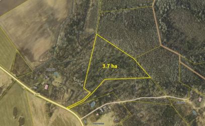 Pilte 3.7 ha maad 10 km Viljandi linnapiirist!