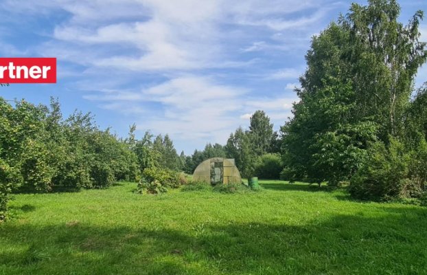 Image 25 of 25