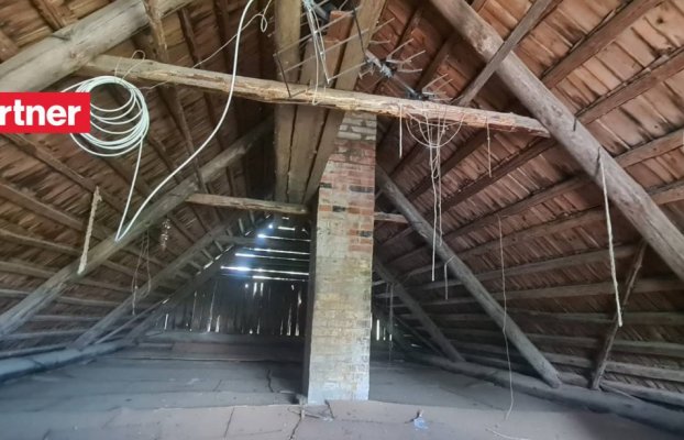 Image 5 of 25