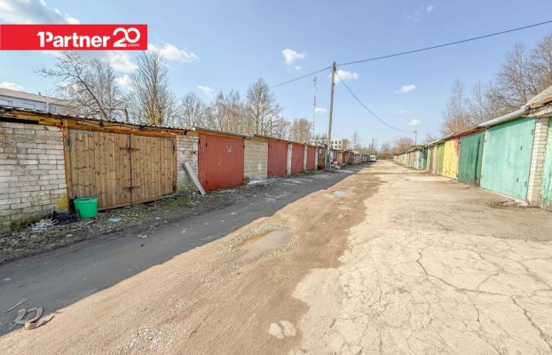 картина 12 of 13