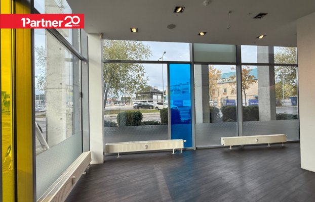 картина 17 of 27