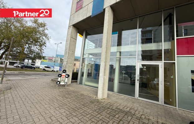 картина 21 of 27