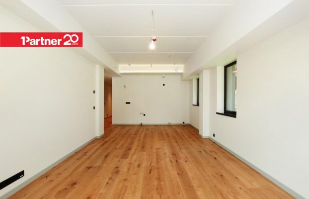 Image 11 of 47