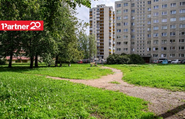 картина 17 of 19