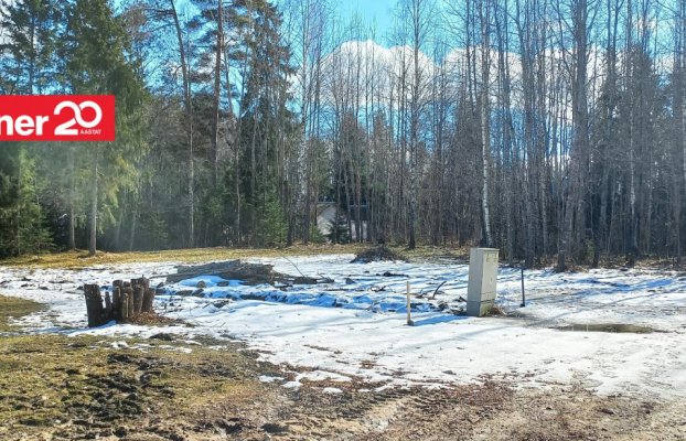 Image 4 of 9
