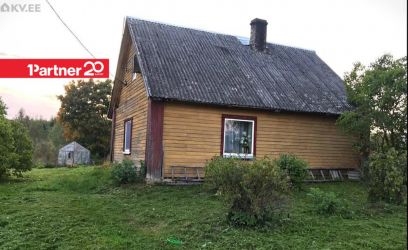 Image of UUS PAKKUMINE