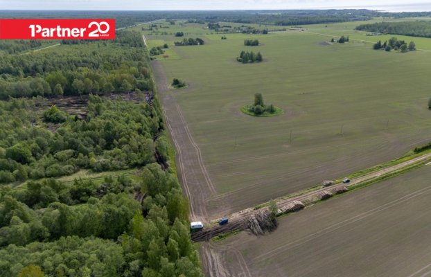 картина 10 of 13