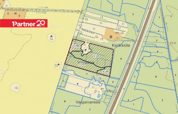 картина 11 of 13