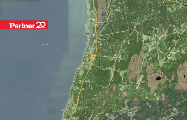 картина 13 of 13