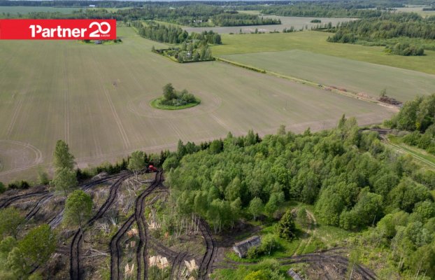 картина 8 of 13