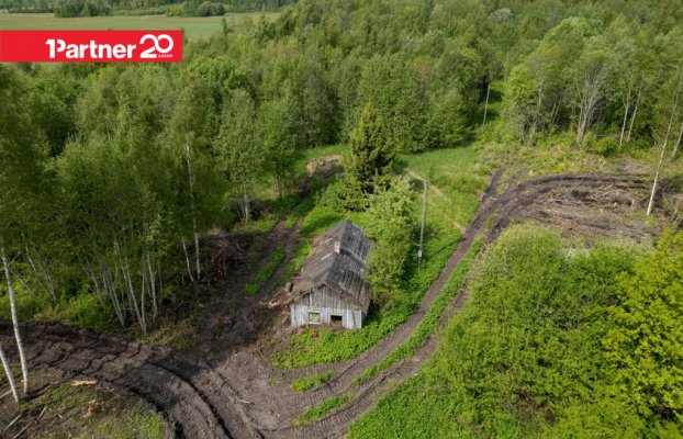 картина 2 of 13