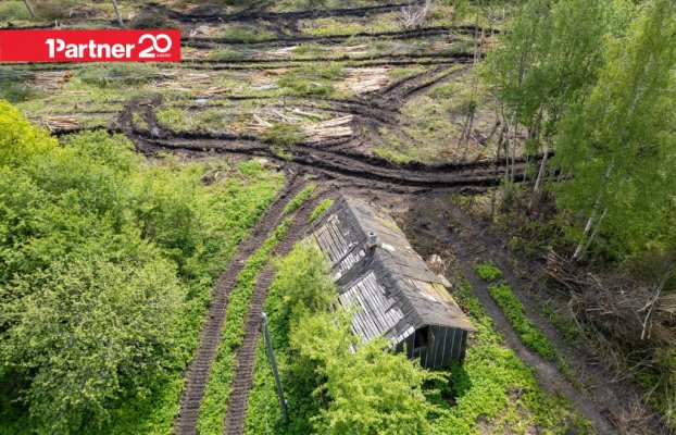 картина 7 of 13